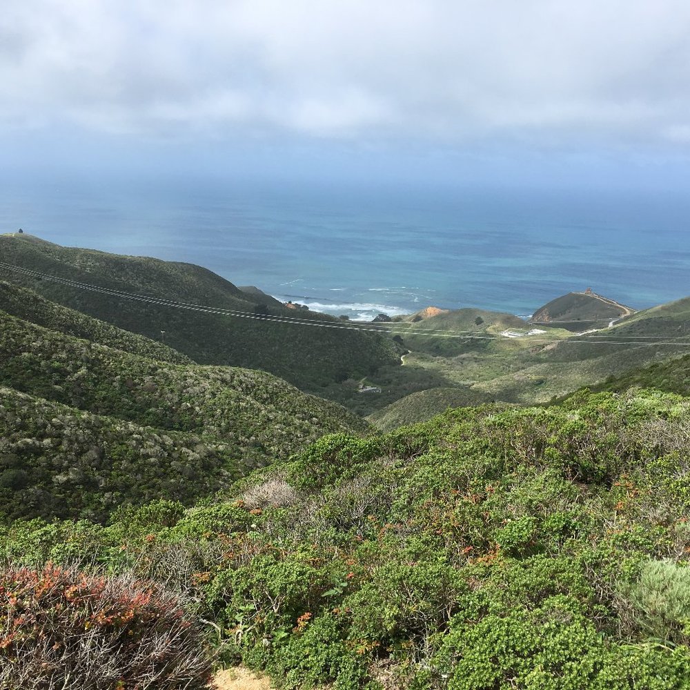 Meet your Posher, Barbara